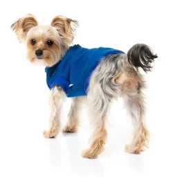 FuzzYard The Woof Sweater - Blue