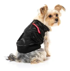 FuzzYard The Zoomies Jacket - Black