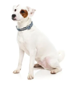 FuzzYard Thornbury - Aegean Blue - Dog Collar