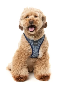 FuzzYard Thornbury - Aegean Blue - Dog Step In Harness