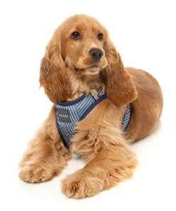 FuzzYard Thornbury - Aegean Blue - Dog Step In Harness