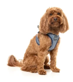 FuzzYard Thornbury - Aegean Blue - Dog Step In Harness
