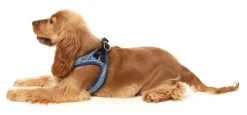 FuzzYard Thornbury - Aegean Blue - Dog Step In Harness