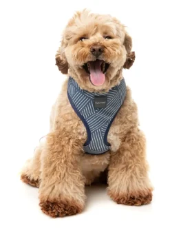 FuzzYard Thornbury - Aegean Blue - Dog Harness