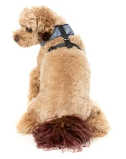 FuzzYard Thornbury - Aegean Blue - Dog Harness