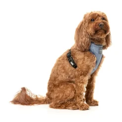 FuzzYard Thornbury - Aegean Blue - Dog Harness