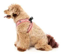 FuzzYard Thornbury - Brick Red - Dog Step In Harness