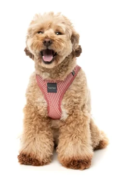 FuzzYard Thornbury - Brick Red - Dog Step In Harness