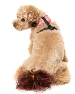 FuzzYard Thornbury - Brick Red - Dog Harness