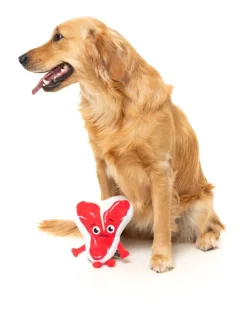 FuzzYard Tim Tee-Bowne - Dog Toy