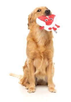 FuzzYard Tim Tee-Bowne - Dog Toy