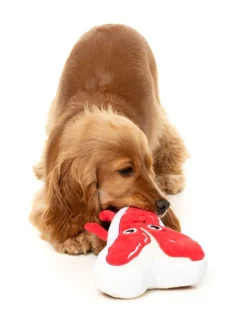 FuzzYard Tim Tee-Bowne - Dog Toy