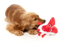 FuzzYard Tim Tee-Bowne - Dog Toy