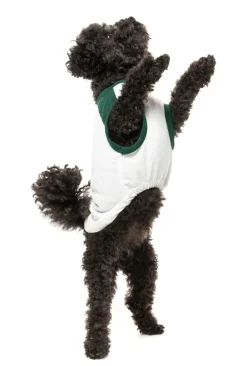 FuzzYard Tis The Season To Be Pantless - T-Shirt