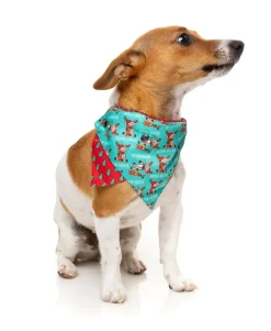 FuzzYard Too Much Rein-Beer Bandana