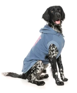 FuzzYard Treats Hoodie - Blue