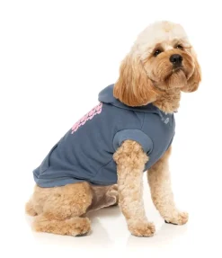 FuzzYard Treats Hoodie - Blue