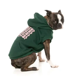 FuzzYard Treats Hoodie - Green
