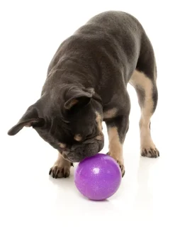 FuzzYard Truth Tellin' Treat Ball - Interactive Chew Toy