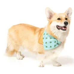 FuzzYard Tucson Pet Bandana