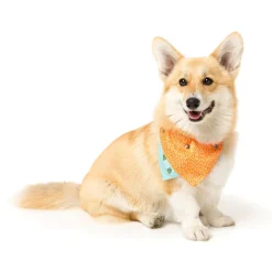 FuzzYard Tucson Pet Bandana