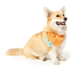 FuzzYard Tucson Pet Bandana
