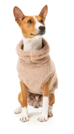 FuzzYard Turtle Teddy 24 Sweater - Chai