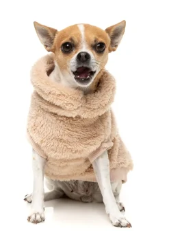 FuzzYard Turtle Teddy 25 Sweater - Desert Tan