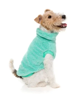 FuzzYard Turtle Teddy 24 Sweater - Teal