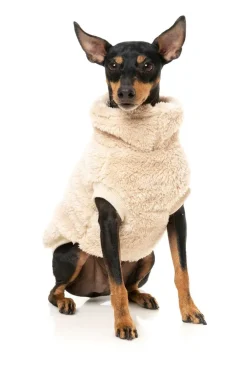 FuzzYard Turtle Teddy Sweater - Beige