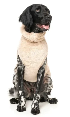 FuzzYard Turtle Teddy Sweater - Beige