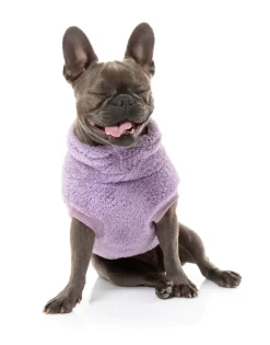 FuzzYard Turtle Teddy Sweater - Purple