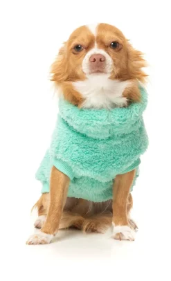 FuzzYard Turtle Teddy Sweater - Teal