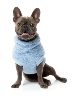 FuzzYard Turtle Teddy Sweater - Washed Blue