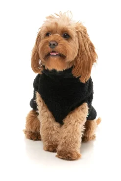 FuzzYard Turtle Teddy Sweater Black