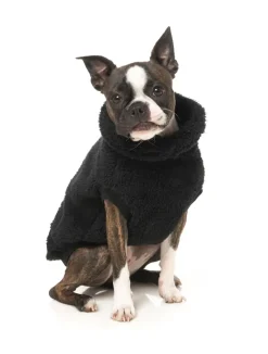 FuzzYard Turtle Teddy Sweater Black