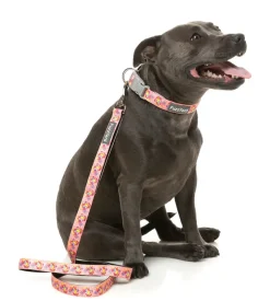 FuzzYard Two-Cans - Dog Lead