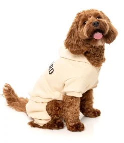 FuzzYard Urban Tracksuit - Buttermilk