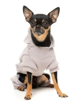 FuzzYard Urban Tracksuit - Cool Grey