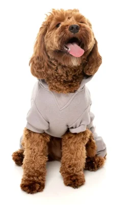 FuzzYard Urban Tracksuit - Cool Grey