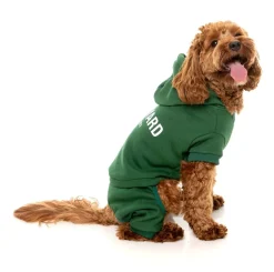 FuzzYard Urban Tracksuit - Green