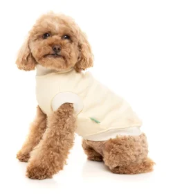 FuzzYard Vanilla Street Sweater