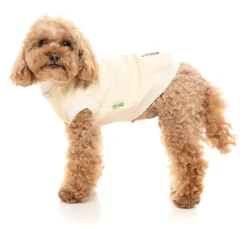 FuzzYard Vanilla Street Sweater