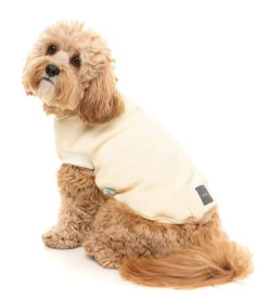 FuzzYard Vanilla Street Sweater