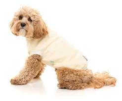 FuzzYard Vanilla Street Sweater