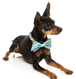 FuzzYard Wakey Wakey - Bowtie