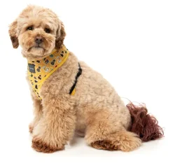 FuzzYard What The Duck - Dog Harness