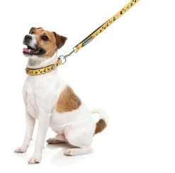 FuzzYard What The Duck - Dog Lead