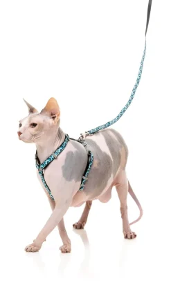 FuzzYard Wild One Aqua - Cat Walking Set