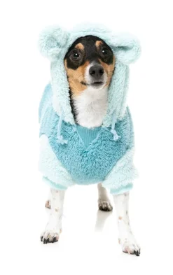 FuzzYard Winnie Hoodie - Blue